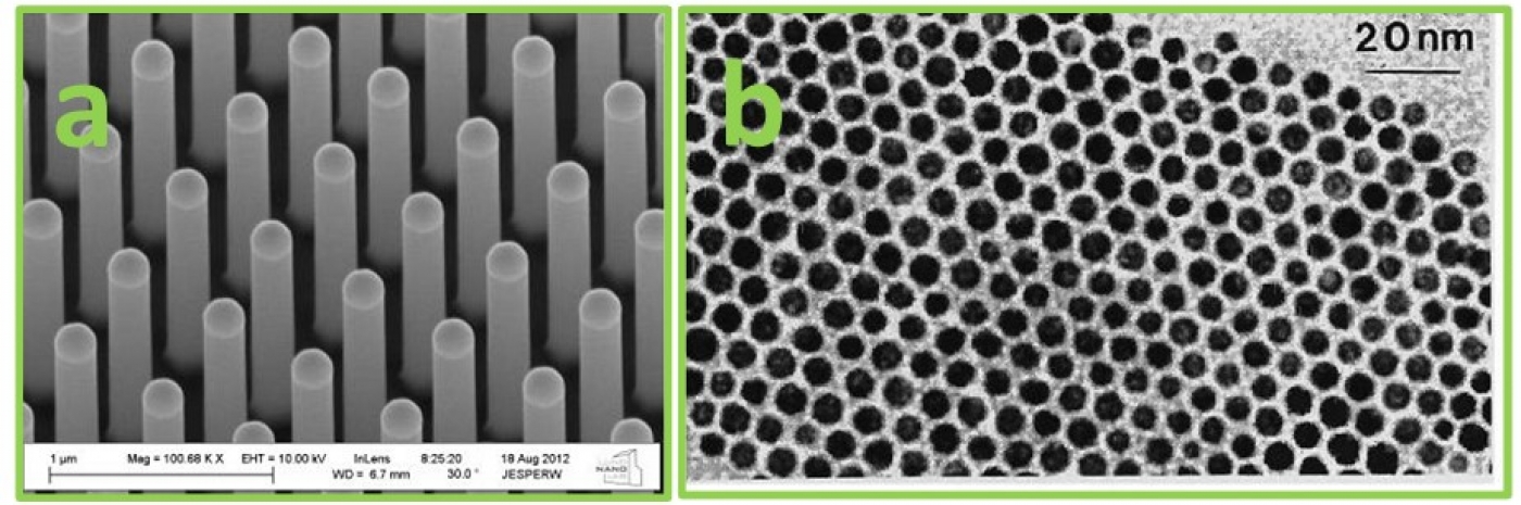 تصاویر میکروسکوپ الکترونی از آرایه‌ها، a برای نانوسیم‌های منظم، b برای نانوذرات منظم